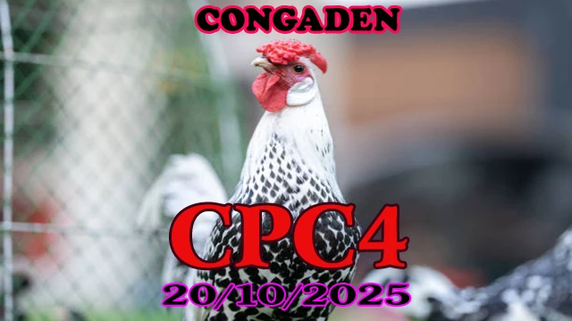 Clip phát lại đá gà Thomo C4 ngày 20/10/2025