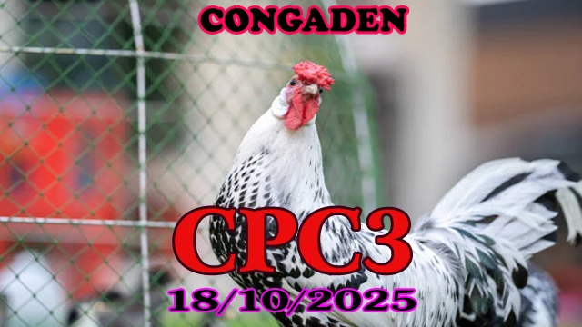 Xem lại đá gà Thomo C3 hôm nay 18/10/2025