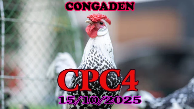 Xem lại đá gà Thomo hôm nay c4 ngày 15/10/2025