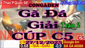 Gà Đá Giải C5 Trận 2 A.Thảo P.Quốc (0đ-đỏ) Vs A.Tửng B.Tre (0đ-xanh)-Hang Cân 3.3Kg