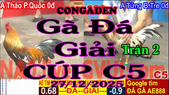 Gà Đá Giải C5 Trận 2 A.Thảo P.Quốc (0đ-đỏ) Vs A.Tửng B.Tre (0đ-xanh)-Hang Cân 3.3Kg