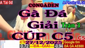 Gà Đá Giải C5 Trận 3 A.Tài T.Giang (0đ-đỏ) Vs A.Phước V.long (0đ-xanh)-Hang Cân 3.3Kg