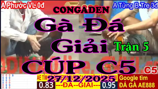 Gà Đá Giải C5 Trận 5 A.Phước V.Long (0đ-đỏ) Vs A.Tửng B.Tre (3đ-xanh)-Hang Cân 3.4Kg