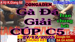 Gà Đá Giải C5 Trận Chung Kết A.Vĩ K.Giang (6đ-đỏ) Vs A. Tửng B.Tre (6đ-xanh)-Hạng Cân 3.1Kg