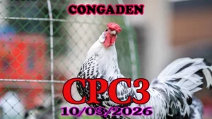 Video đá gà trực tiếp CPC3 ngày 10032026 – Tổng hợp trận hay Thomo