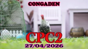 Full video đá gà thomo CPC2 hôm nay 27042026